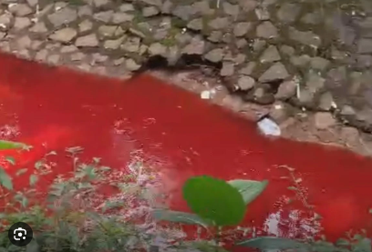 Air Kali Rawa Buntu Berwarna Merah